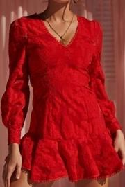  Floral Embroidered Mini-dress