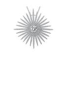 Simulated Diamond Starburst Necklace