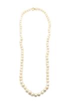  London White Rope Necklace