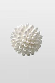  5 Shell Ball