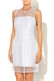 Silver Sheer Dress