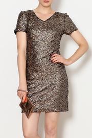  Shine For Me Dress