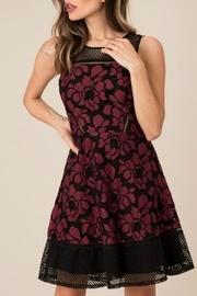  Candice Mesh Dress