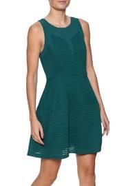  Jaded Fit Flare Dress