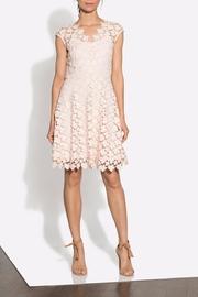  Lace Buchanan Dress