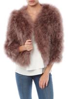 Jocelyn Feather Bolero