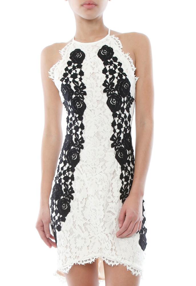 Saylor Alexis Dress
