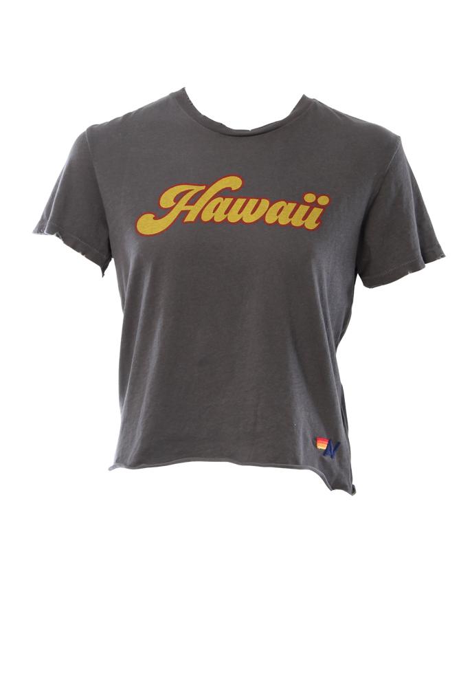 Aviator Nation Big Hawaii Boyfriend Tee