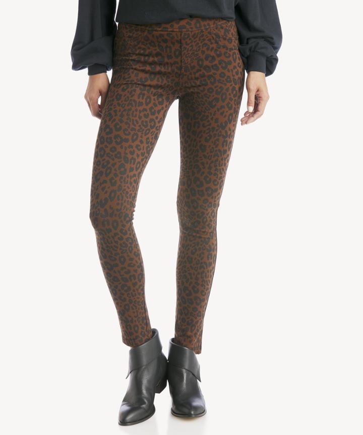 Sanctuary Sanctuary Women's Grease Legging In Color: Leopard Size Xs From Sole Society