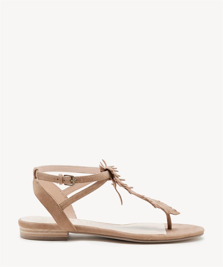 Sole Society Sole Society Mara T Strap Flats Sandals Caramel Size 5 Suede