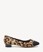 Sole Society Women's Brea Toe Cap Flats Leopard Size 5 Leather From Sole Society