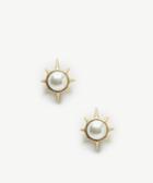 Sole Society Women's Sunburst Studs Gold One Size From Sole Society