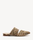 Matisse Matisse Women's Berlin In Color: Leopard Mules Size 6 Haircalf From Sole Society