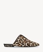 1. State 1. State Women's Genia Pointed Toe Slides Cheetah/black Size 5 Leather From Sole Society