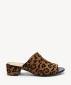 Matisse Matisse Damsel Exotic Mules Leopard Size 6 Haircalf From Sole Society