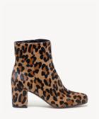 Sole Society Women's Pomeroy Block Heels Bootie Leopard Size 5 Haircalf From Sole Society