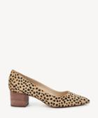 Sole Society Sole Society Andorra Block Heels Pumps Cheetah Dot Size 5 Haircalf