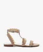 Sole Society Sole Society Maladee T- Strap Flat Sandal