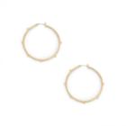 Sole Society Sole Society Studded Hoops - Gold-one Size