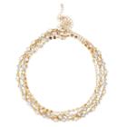 Sole Society Sole Society Stone Layered Choker - Gold