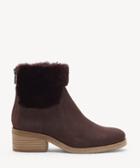 Lucky Brand Lucky Brand Women's Tarina In Color: Raisin Shoes Size 5 Leather From Sole Society