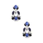 Sole Society Sole Society Floral Cluster Drop Earrings - Blue Combo