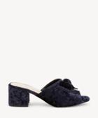 Sole Society Women's Cece Knotted Mules Ombre Blue Size 5 Velvet From Sole Society