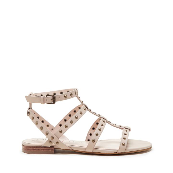 Sole Society Sole Society Celine Gladiator Flat Sandal - French Taupe