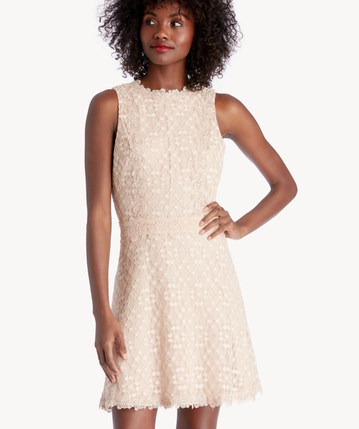 J.o.a. J.o.a. Mock Neck Fit & Flare Lace Dress Blush Size Small From Sole Society
