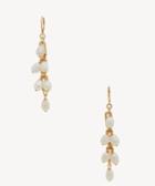Sole Society Women's Linear Earrings Worn Gold/ivory Pearl One Size From Sole Society