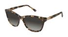 Sperry Sankaty Sunglasses Brown, Size One Size Women's