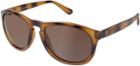 Sperry Fenwick Polarized Sunglasses Tortoise/brown, Size One Size