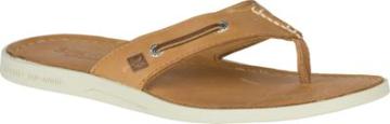 Sperry Authentic Original Flip Flop Sahara, Size 7m Men's