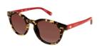 Sperry Marblehead Polarized Sunglasses Brown, Size One Size Women's