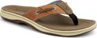 Sperry Baitfish Flip-flops Tanleather, Size 8m Men's Shoes