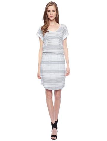 Splendid Nairobi Stripe Dress