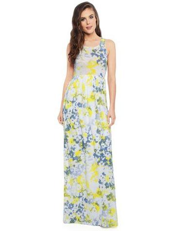 Splendid Waterville Floral Dress