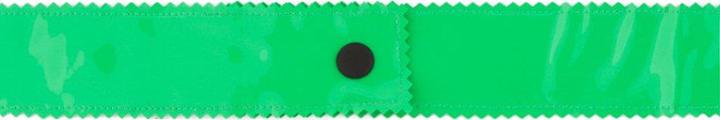 Roksanda Bright Green Patent Pvc Belt