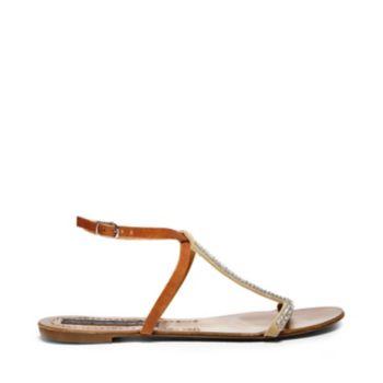 Glossy Cognac Multi