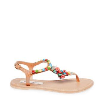 Cheerful Bright Multi