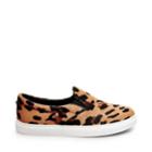 Ecentrcl Leopard