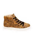 Levels-c Cheetah