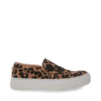 Gills-a Leopard