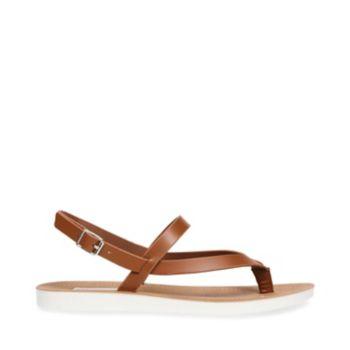 Attraction Cognac Le
