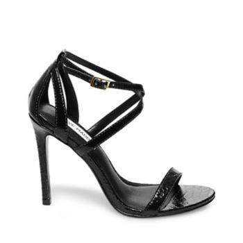 Isolatee Blk Snake