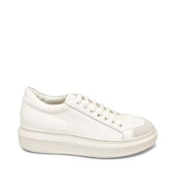 Briar White Multi