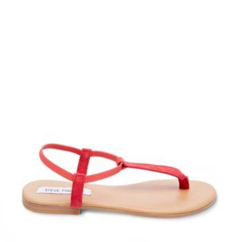 Synergy Coral