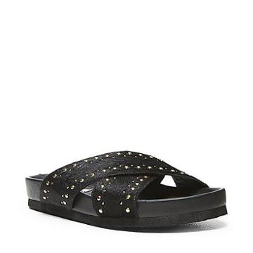 Brigad-s Black Pony
