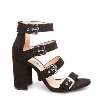 Shani Black