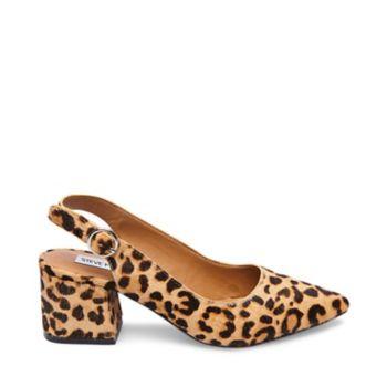 Dizzy-l Leopard